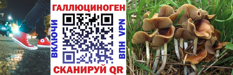 Галлюциногенные грибы мухоморы  купить  цена  ОМГ ОМГ вход  Барабинск 